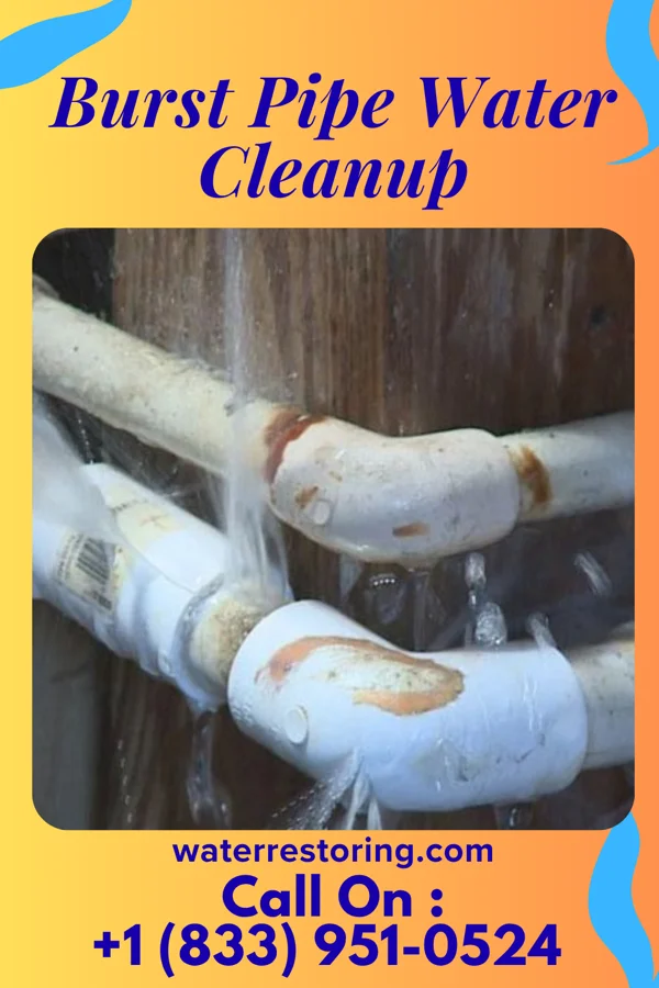 Burst Pipe Water Cleanup in Lorimor, IA