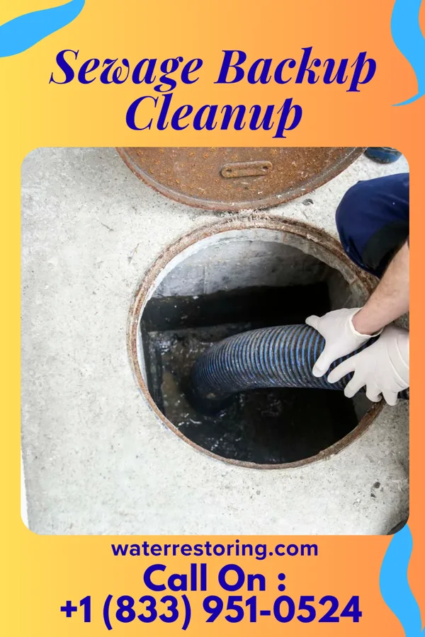 Sewage Backup Cleanup in Lorimor, IA